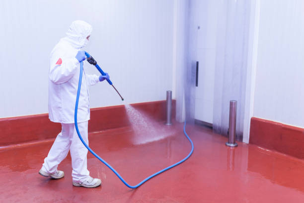 Best Graffiti Removal  in Trooper, PA